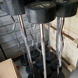 Fixed Barbell Gym Weights Curl Bar Weight Set