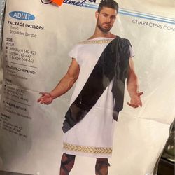 Grecian Roman Toga Halloween costume