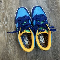 Nike Brand New Dunk Shoes Kids 5