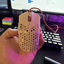 Final Mouse Cape Town 2