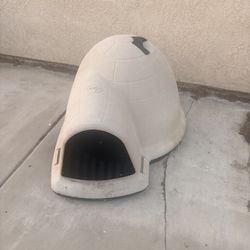 Dog House 