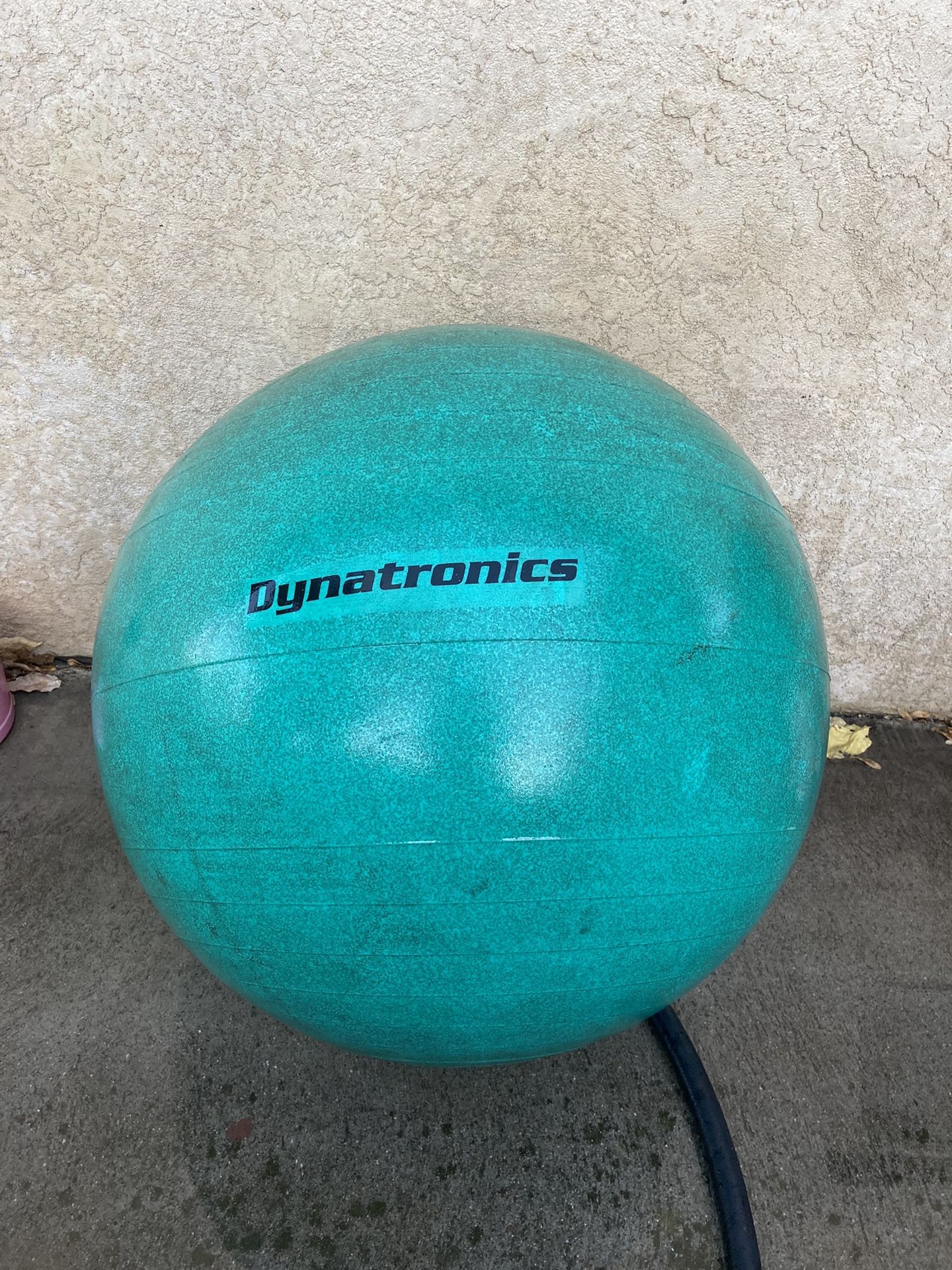Exercise Ball