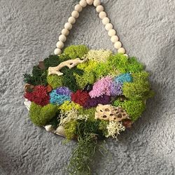Moss Wall Decor