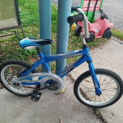 Little Boys 16 Inch Bike