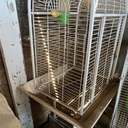 Bird Cage / Jaula 