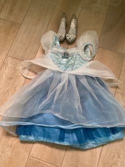 Disney parks Cinderella dress