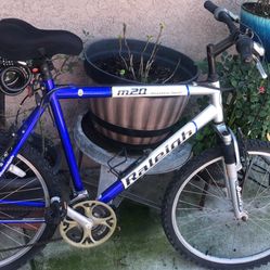 Mountain Bike  26 Inch