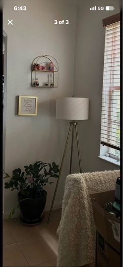 Tripod Floor Lamp with Drum Shade