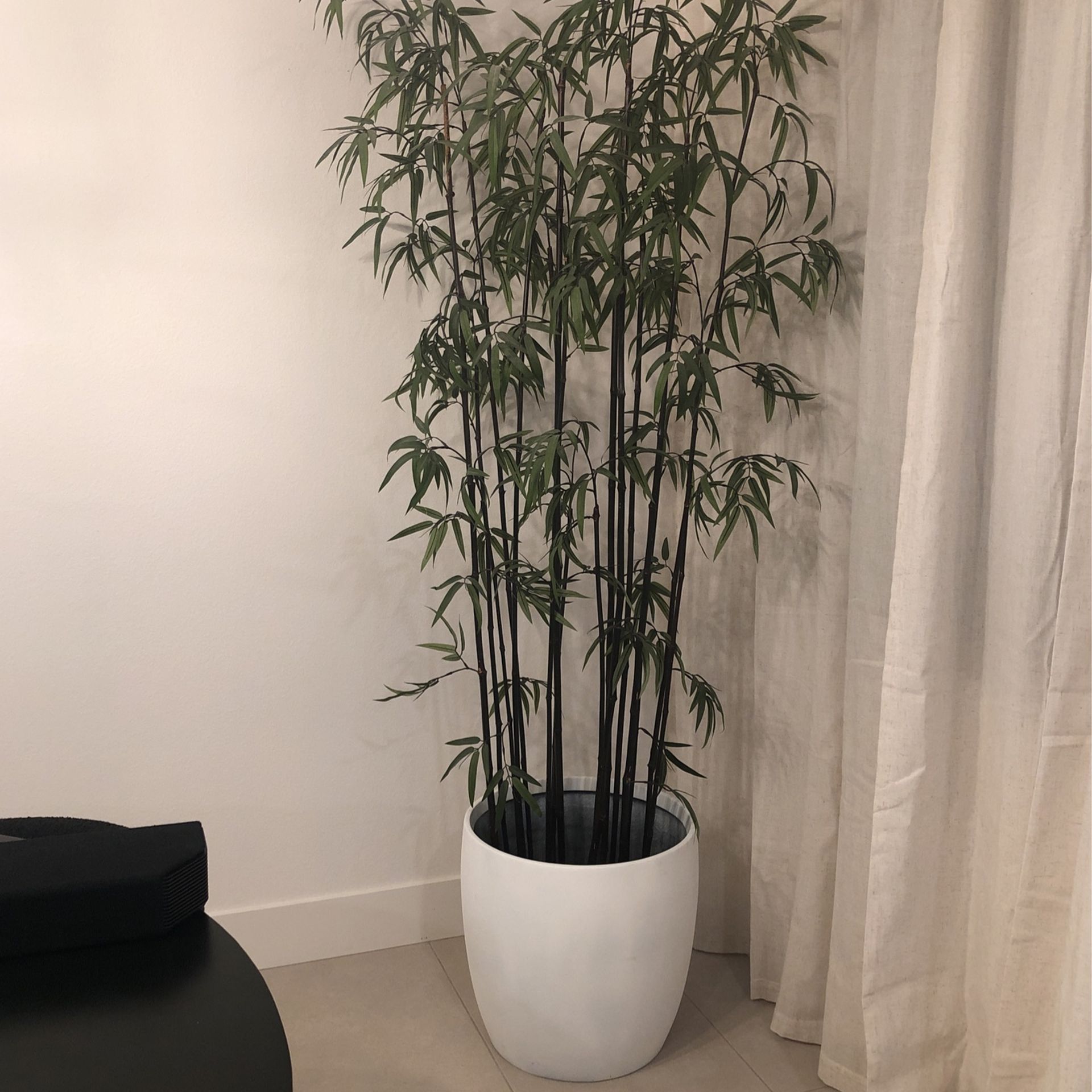 Bamboo Plant (Artificial)