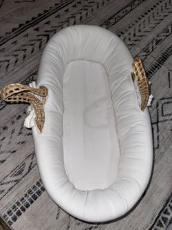 Baby Moses Basket