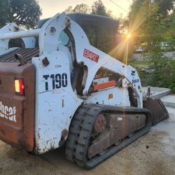 Bobcat