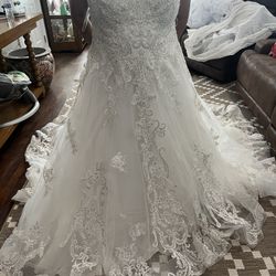 Wedding Dress 