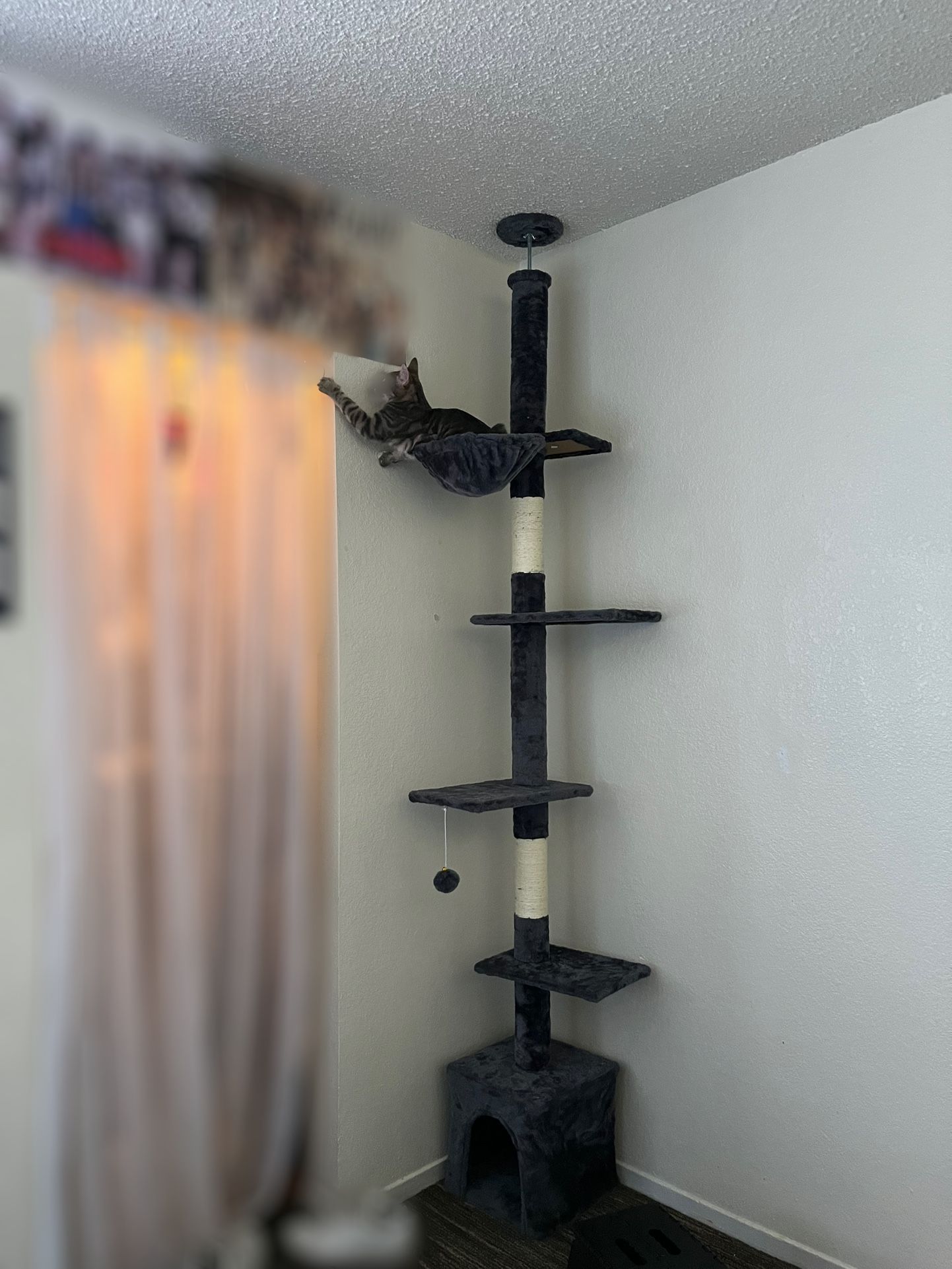 Cat Tower Floor-to-Ceiling