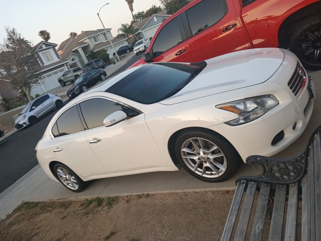 09 Nissan Maxima For Sale
