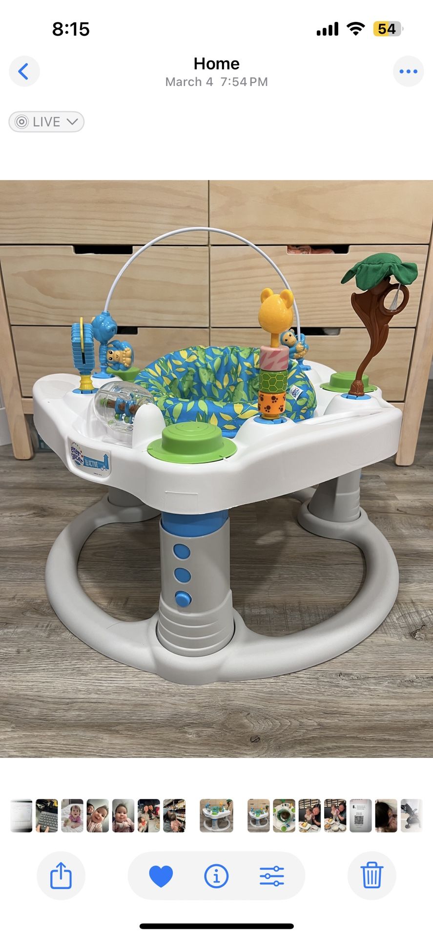 Evenflo Wild Wonders Activity Center