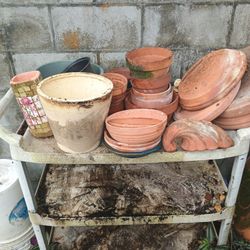Assortment Of Terracotta Pots Big Small Medium