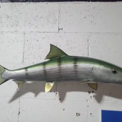 Trophy Bonefish Mount 