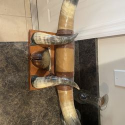 Mounted Texas Longhorn Bull Horn Set