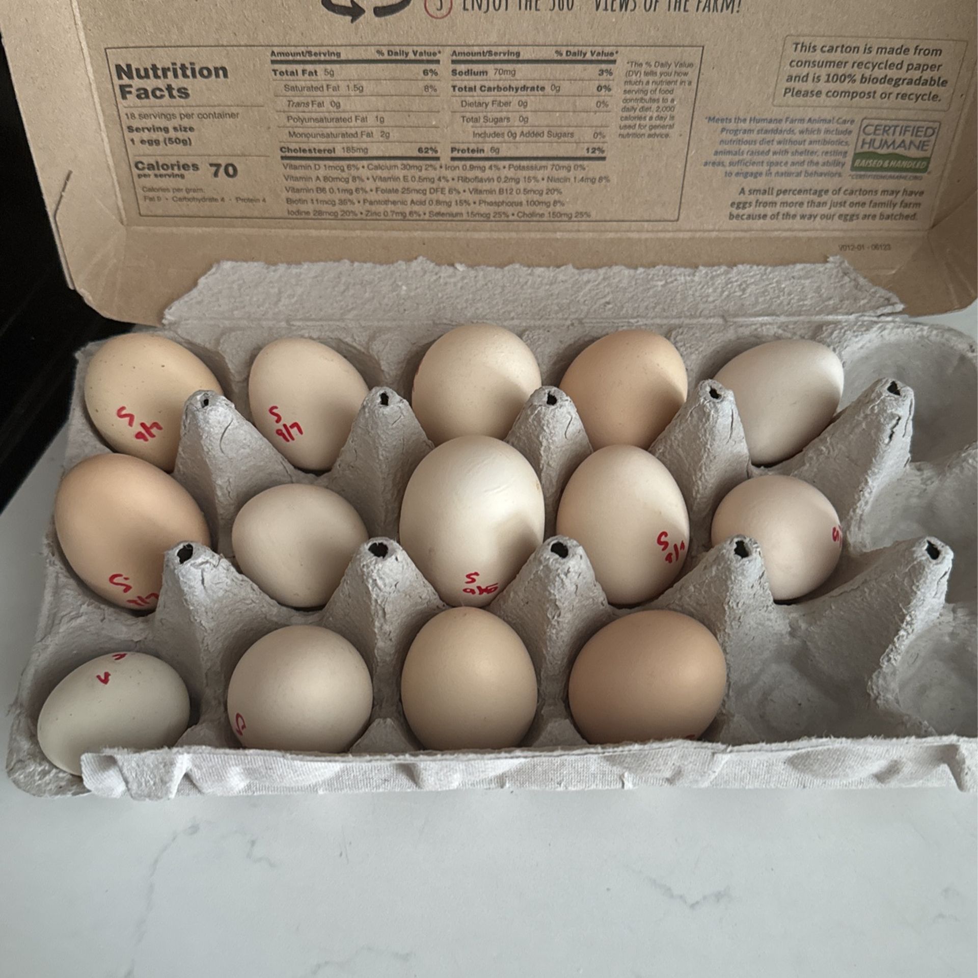 Silkie Eggs