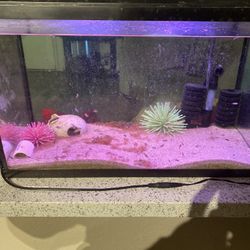 Fish Tanks & Decor  For Sale  Prices Negotiable 