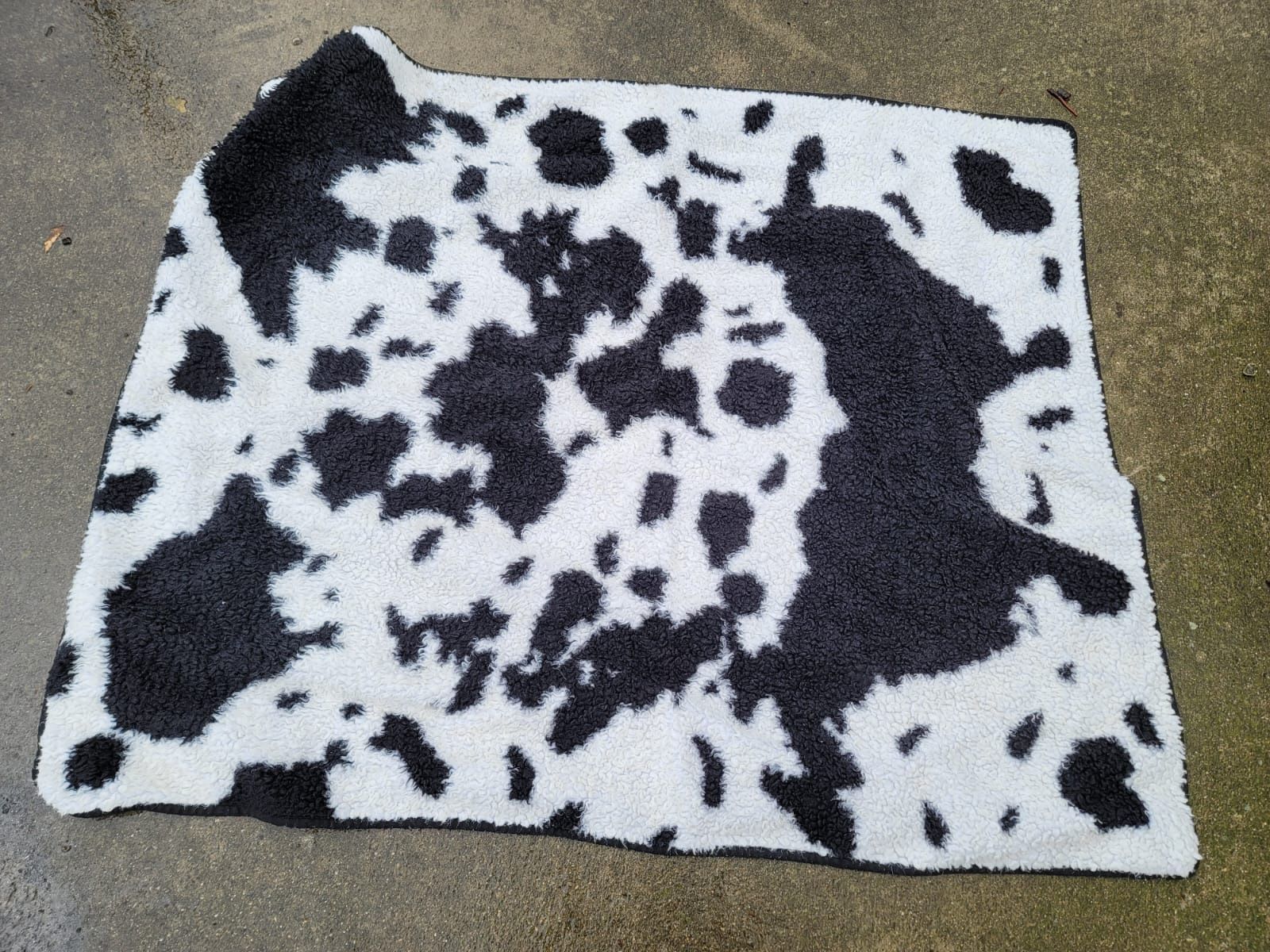 Dog Blanket Rug