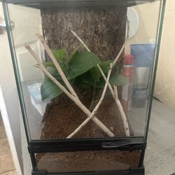 Reptile Terrarium