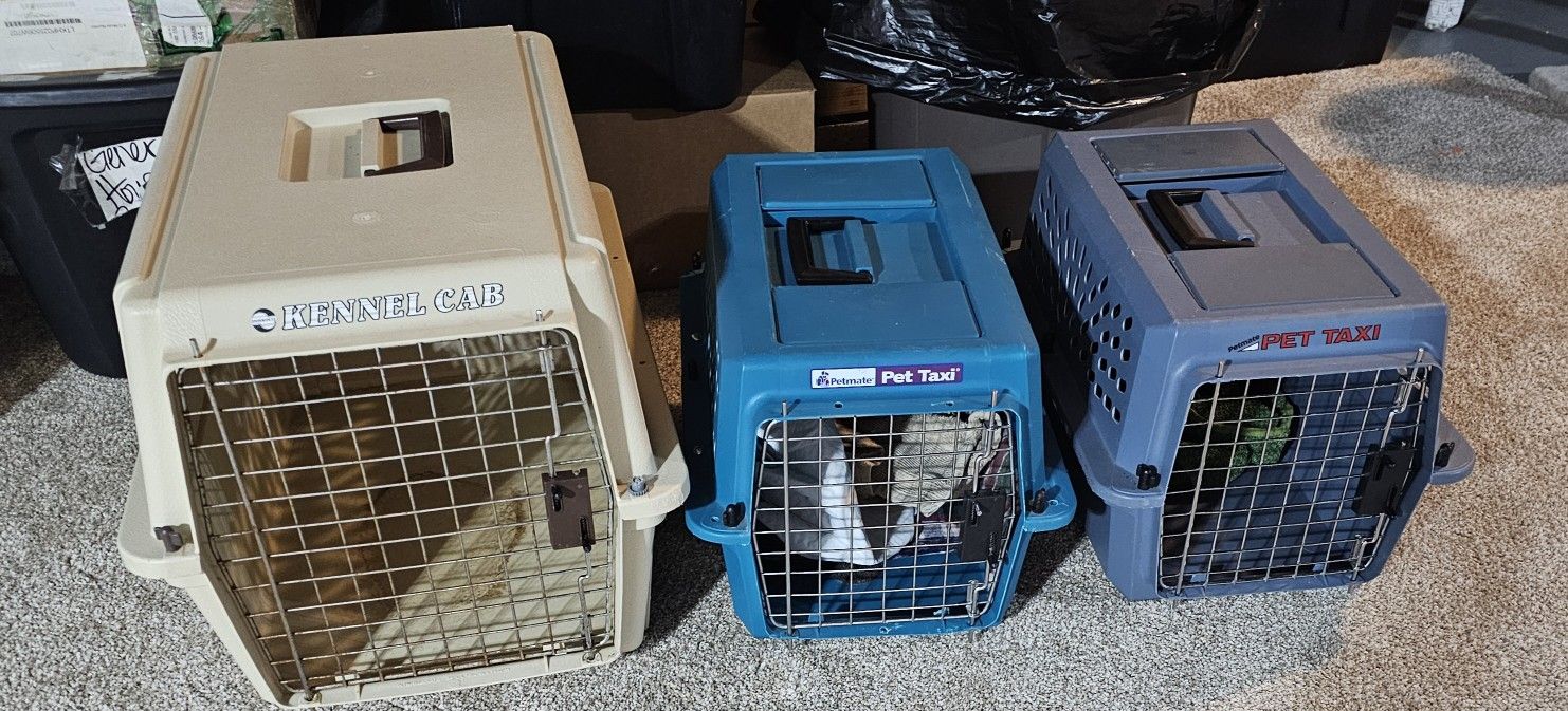 3 Pet Kennels