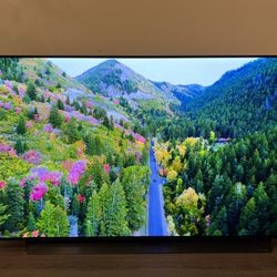 LG OLED 55 Inch TV
