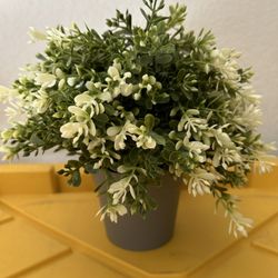 Small Artificisl Plant