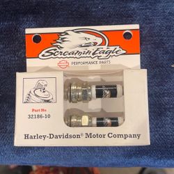 Harley Davison spark plugs