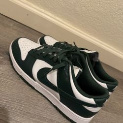 Nike Dunk Low Michigan 