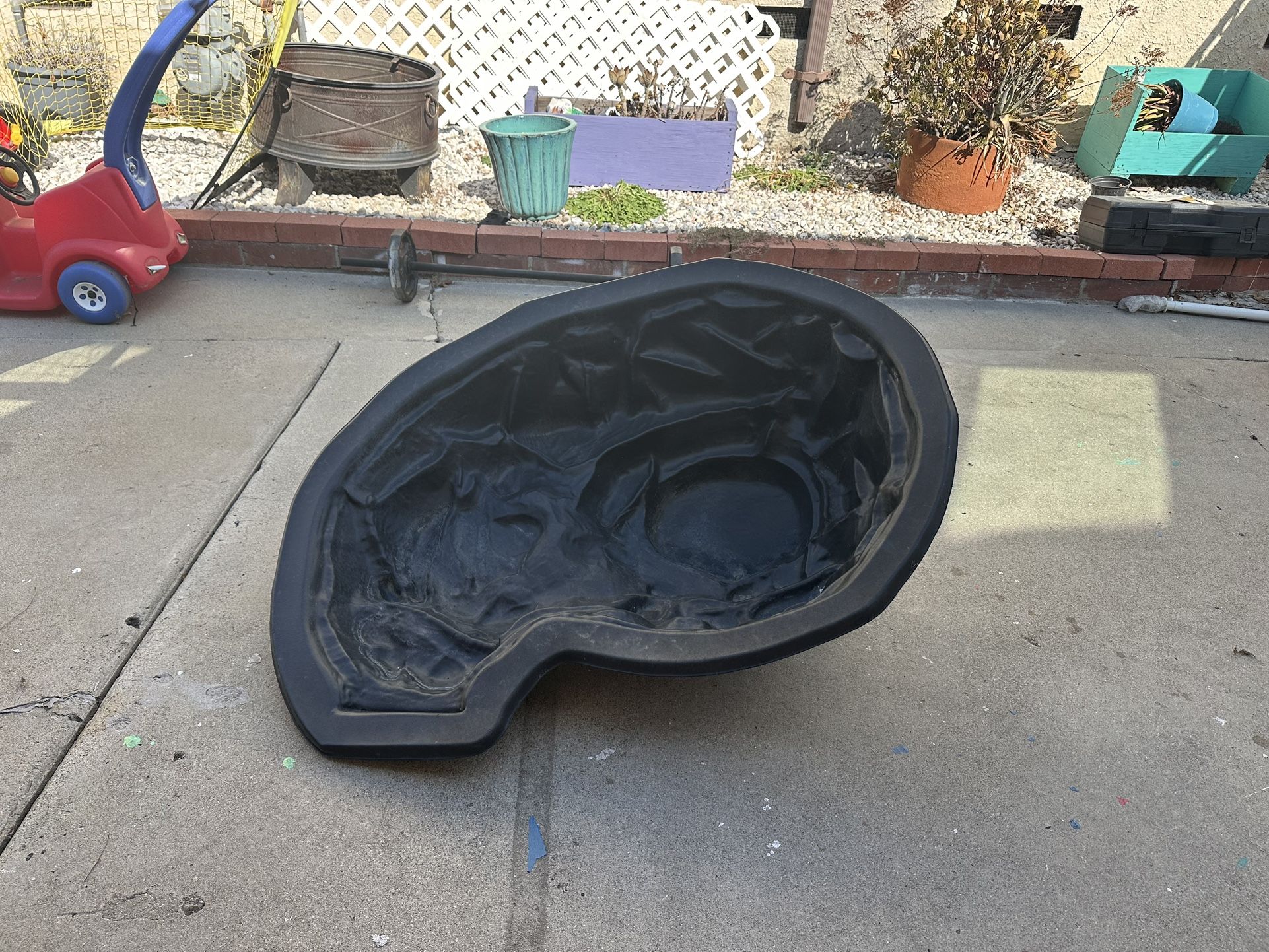 Fish/turtle Pond