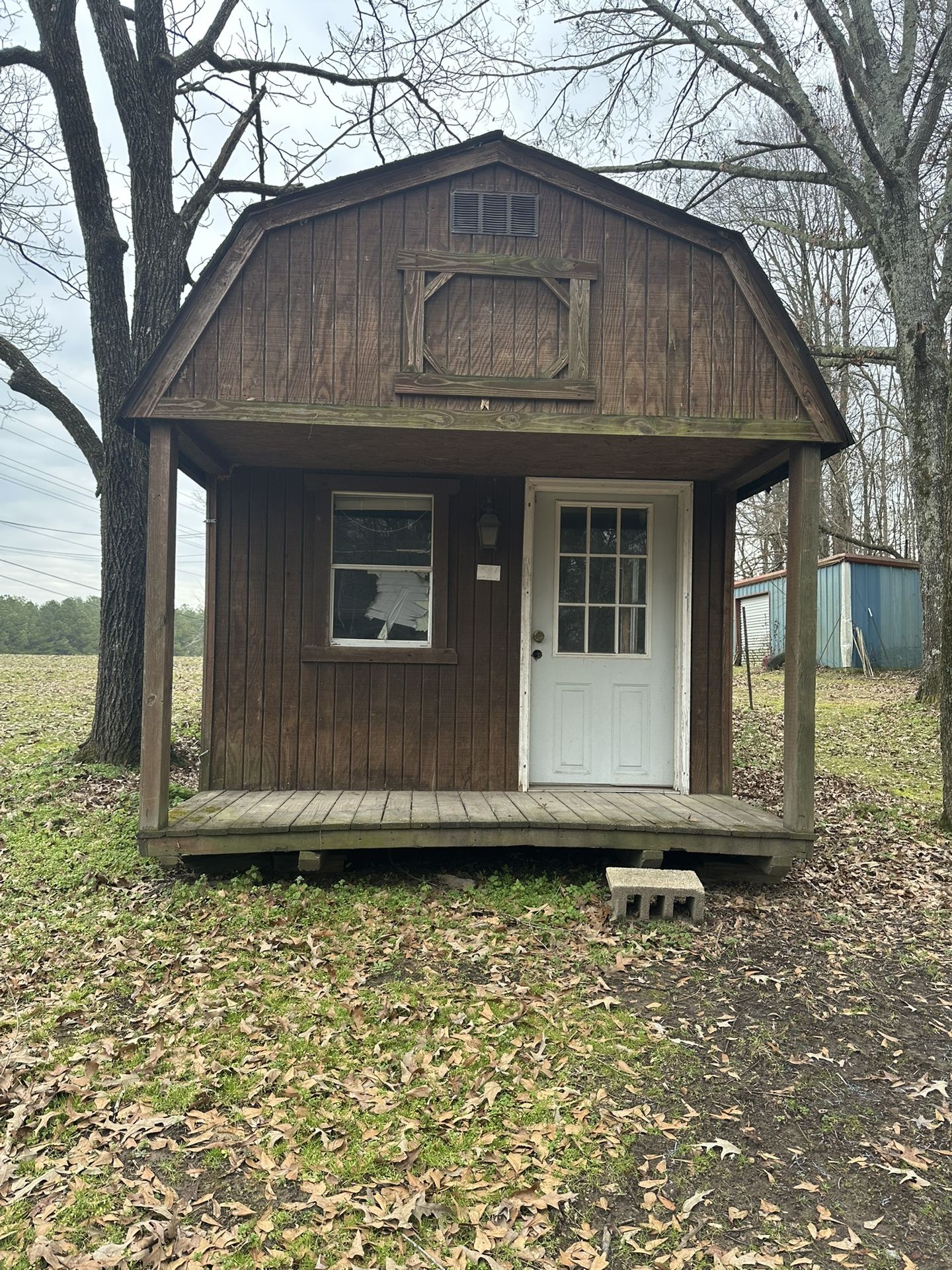 Shed/tiny Home