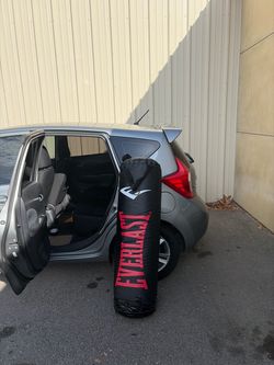 Everlast punching bag
