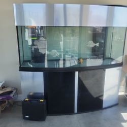 90-gallon corner aquarium