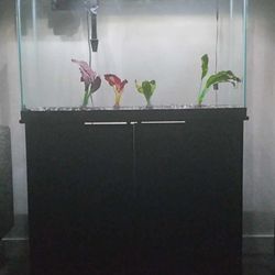 55 Gallon Aquarium Tank Cabinet