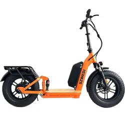Svwedi electric scooter
