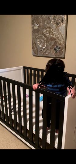 Crib and Newton Mattress