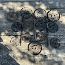 82 Lbs of free weight plates 