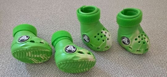 Puppy Crocs (small)