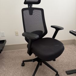 Branch Ergonomic Pro Chair