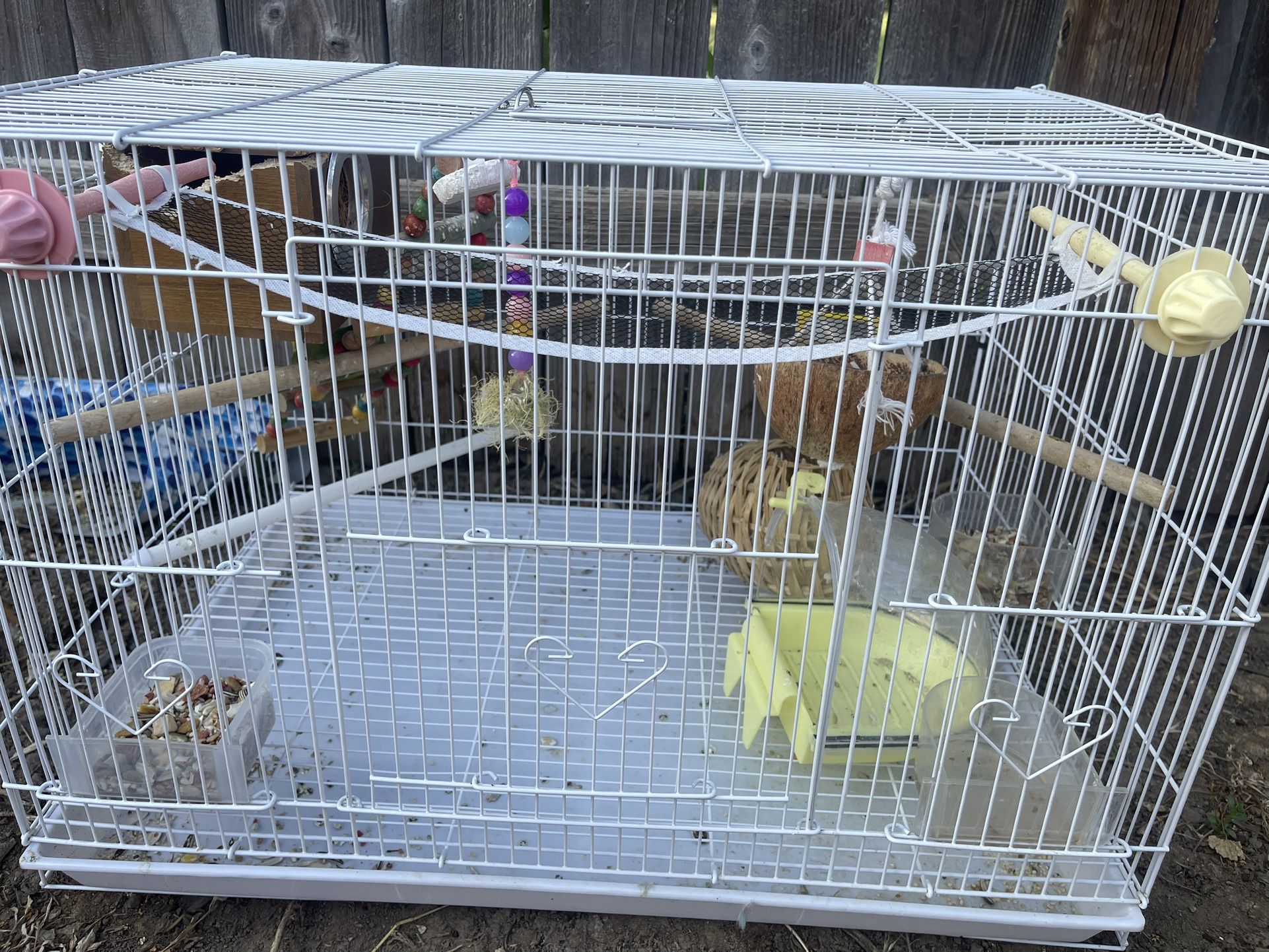 Bird Cage With Bird
