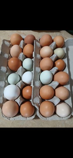 Farm Fresh Eggs / Huevos Frescos