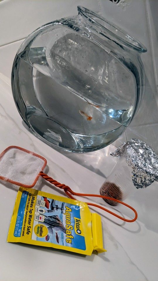 Fish Bowl/Tank