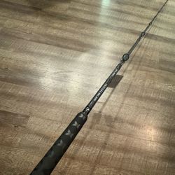 New Daiwa Proteus Boat 8’  XHF 30-60 Salt Water Fishing Conventional Rod. 