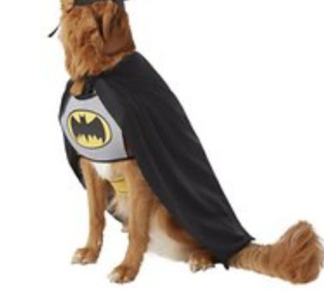 BRAND New with tags DC comics dog Batman costume size XL