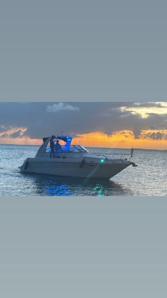 Bote Sea Ray 2001