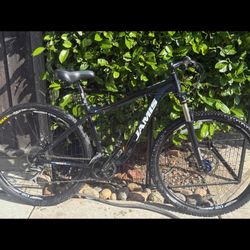 Jami’s Exile Sport