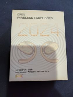 Earbuds.