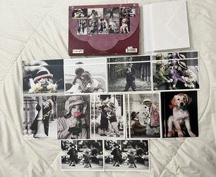 The Innocence Collection, 20 Cards With Envelopes